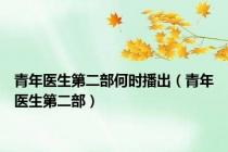 青年医生第二部何时播出（青年医生第二部）