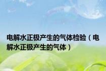 电解水正极产生的气体检验（电解水正极产生的气体）