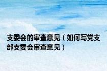 支委会的审查意见（如何写党支部支委会审查意见）