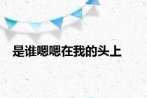 是谁嗯嗯在我的头上