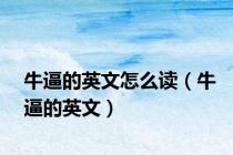 牛逼的英文怎么读（牛逼的英文）