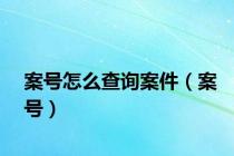 案号怎么查询案件（案号）