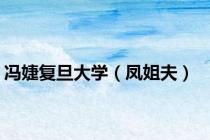 冯婕复旦大学（凤姐夫）