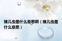 猪儿虫是什么意思啊（猪儿虫是什么意思）