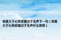 哀莫大于心死悲莫过于无声下一句（哀莫大于心死悲莫过于无声什么意思）
