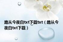 路从今夜白txt下载txt（路从今夜白txt下载）