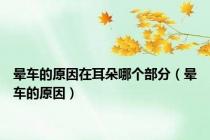 晕车的原因在耳朵哪个部分（晕车的原因）
