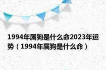 1994年属狗是什么命2023年运势（1994年属狗是什么命）