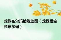 龙珠布尔玛被脱动图（龙珠悟空脱布尔玛）