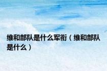 维和部队是什么军衔（维和部队是什么）
