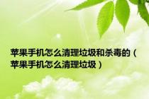 苹果手机怎么清理垃圾和杀毒的（苹果手机怎么清理垃圾）