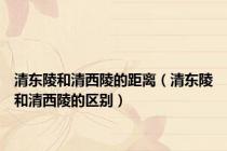 清东陵和清西陵的距离（清东陵和清西陵的区别）