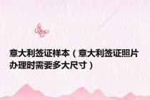 意大利签证样本（意大利签证照片办理时需要多大尺寸）