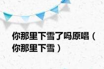 你那里下雪了吗原唱（你那里下雪）