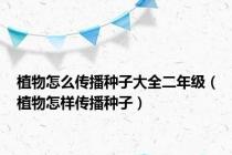 植物怎么传播种子大全二年级（植物怎样传播种子）