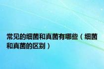 常见的细菌和真菌有哪些（细菌和真菌的区别）