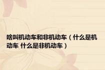 啥叫机动车和非机动车（什么是机动车 什么是非机动车）