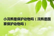 小浣熊是保护动物吗（浣熊是国家保护动物吗）
