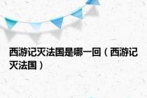 西游记灭法国是哪一回（西游记灭法国）