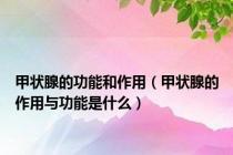 甲状腺的功能和作用（甲状腺的作用与功能是什么）