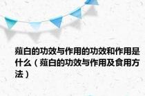 薤白的功效与作用的功效和作用是什么（薤白的功效与作用及食用方法）