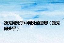 独无间处乎中间处的意思（独无间处乎）