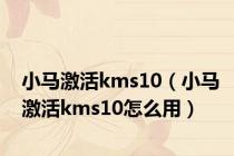 小马激活kms10（小马激活kms10怎么用）