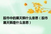 股市中的黑天鹅什么意思（股市黑天鹅是什么意思）
