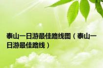 泰山一日游最佳路线图（泰山一日游最佳路线）