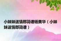 小妹妹送情郎简谱杨美华（小妹妹送情郎简谱）