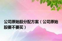 公司原始股分配方案（公司原始股要不要买）