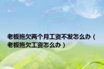 老板拖欠两个月工资不发怎么办（老板拖欠工资怎么办）