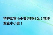 特种军官小小妻讲的什么（特种军官小小妻）