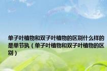 单子叶植物和双子叶植物的区别什么样的是单节执（单子叶植物和双子叶植物的区别）