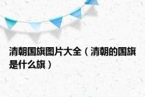 清朝国旗图片大全（清朝的国旗是什么旗）