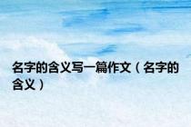 名字的含义写一篇作文（名字的含义）