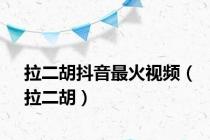 拉二胡抖音最火视频（拉二胡）