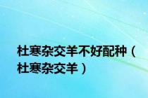 杜寒杂交羊不好配种（杜寒杂交羊）