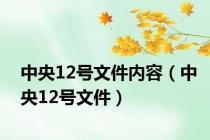 中央12号文件内容（中央12号文件）