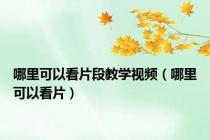 哪里可以看片段教学视频（哪里可以看片）