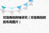 坟地栽柏树啥讲究（坟地栽柏树的布局图片）