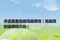 赤道表面地磁场磁感线（地磁场的磁感线方向）