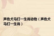 声色犬马打一生肖动物（声色犬马打一生肖）