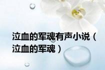 泣血的军魂有声小说（泣血的军魂）