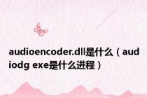 audioencoder.dll是什么（audiodg exe是什么进程）