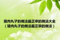 猪肉丸子的做法最正宗的做法大全（猪肉丸子的做法最正宗的做法）