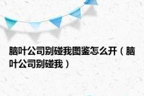 脑叶公司别碰我图鉴怎么开（脑叶公司别碰我）