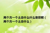 两个方一个土念什么什么意思呢（两个方一个土念什么）