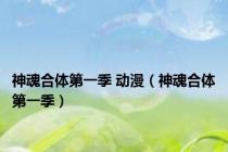 神魂合体第一季 动漫（神魂合体第一季）