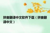 拼音翻译中文软件下载（拼音翻译中文）